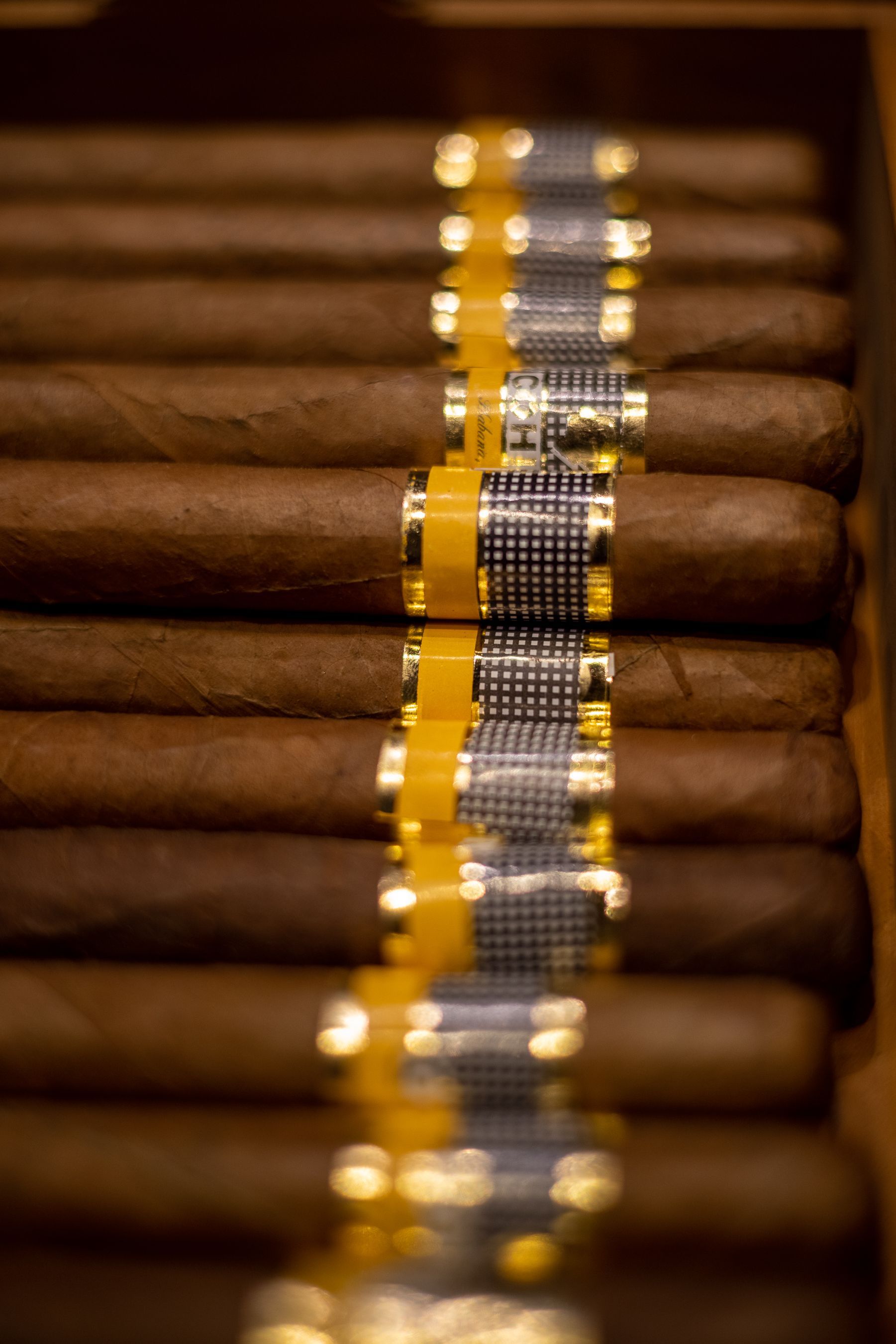 Artistic close-up of premium cigars with distinctive labels, showcasing luxury and craftsmanship.